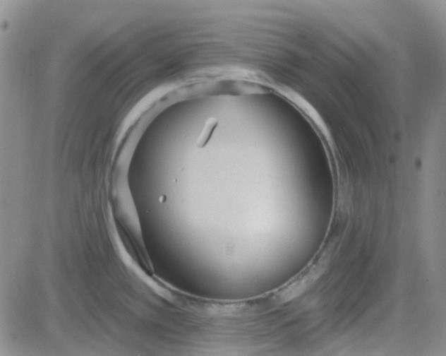 X0000083991389200703021928