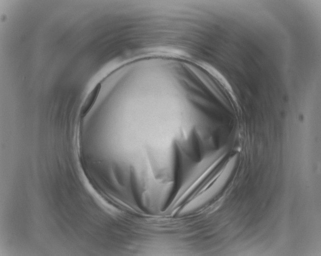 X0000083991391200703021928