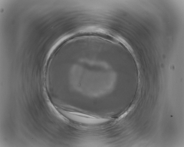 X0000083991392200703021927