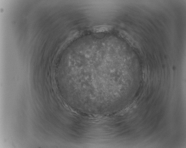 X0000083991393200703021927