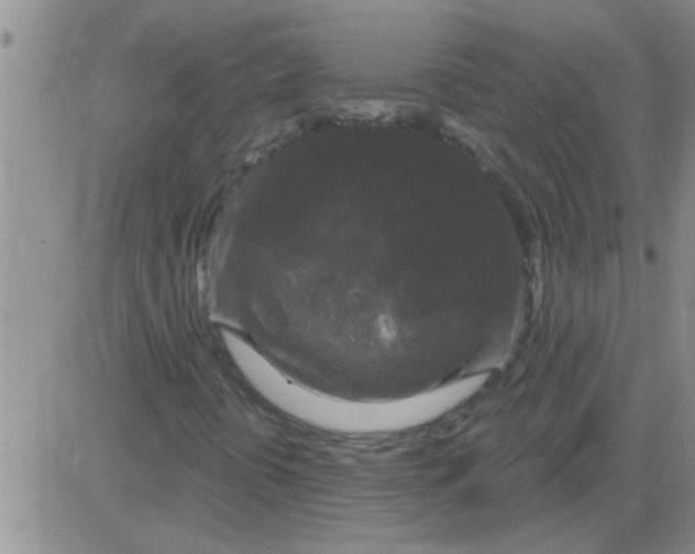 X0000083991394200703021927