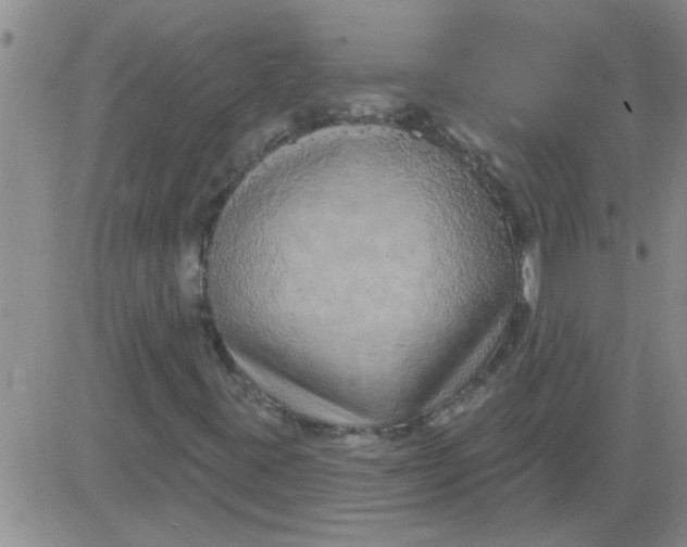 X0000083991395200703021927