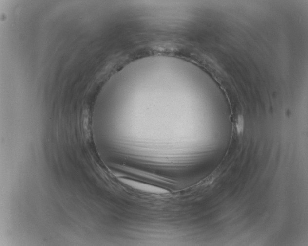 X0000083991396200703021927