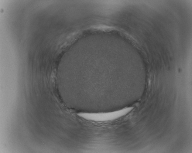 X0000083991397200703021927