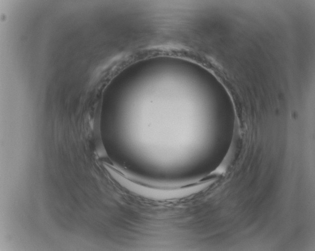 X0000083991398200703021927