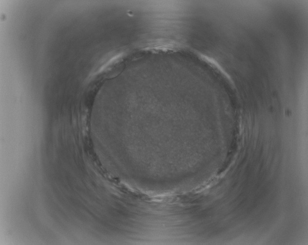 X0000083991399200703021927