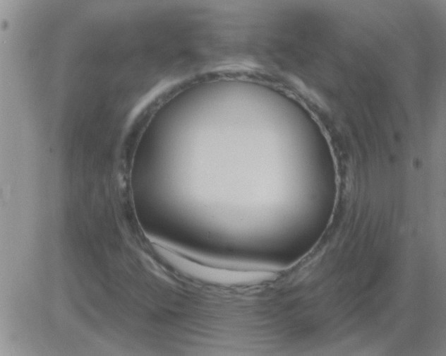 X0000083991400200703021927