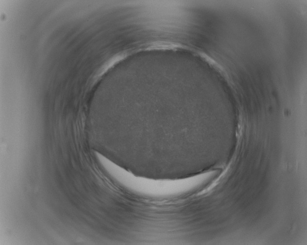 X0000083991401200703021927