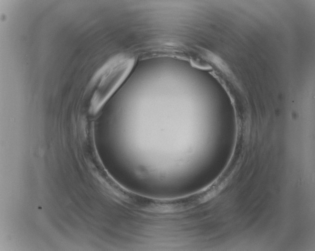 X0000083991402200703021927