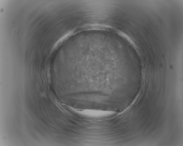 X0000083991403200703021927