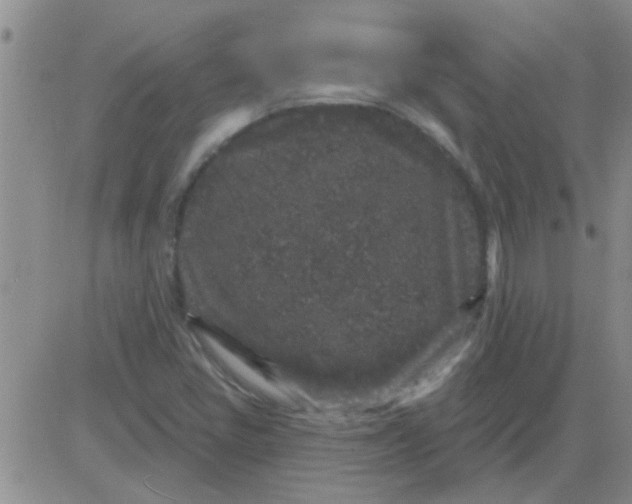 X0000083991405200703021927