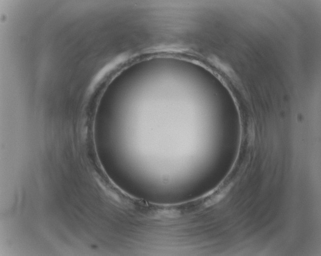 X0000083991406200703021927