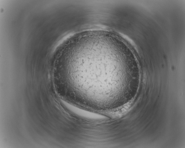 X0000083991407200703021927