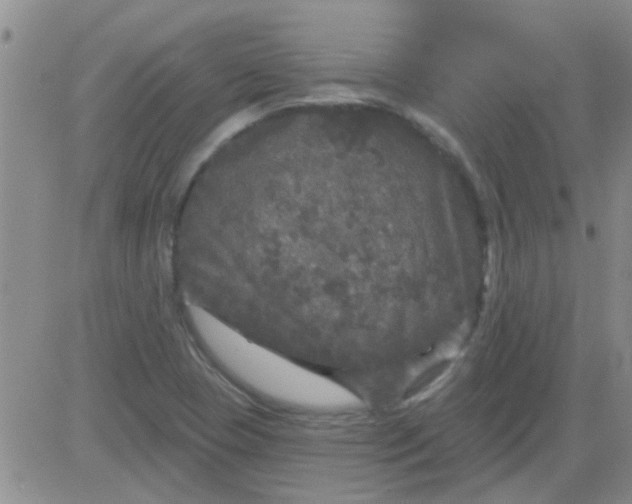 X0000083991409200703021927