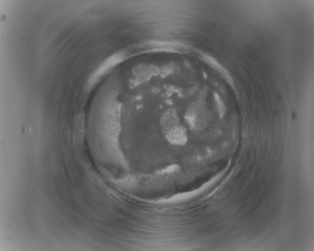 X0000083991411200703021927