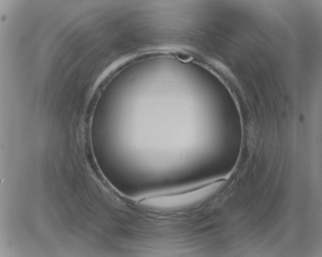 X0000083991412200703021927