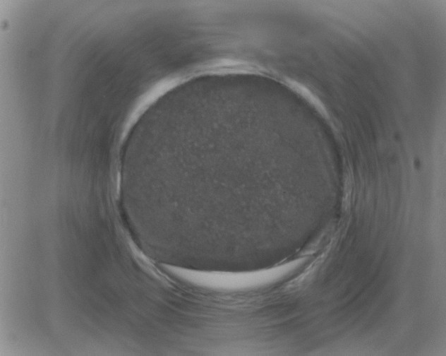 X0000083991413200703021927