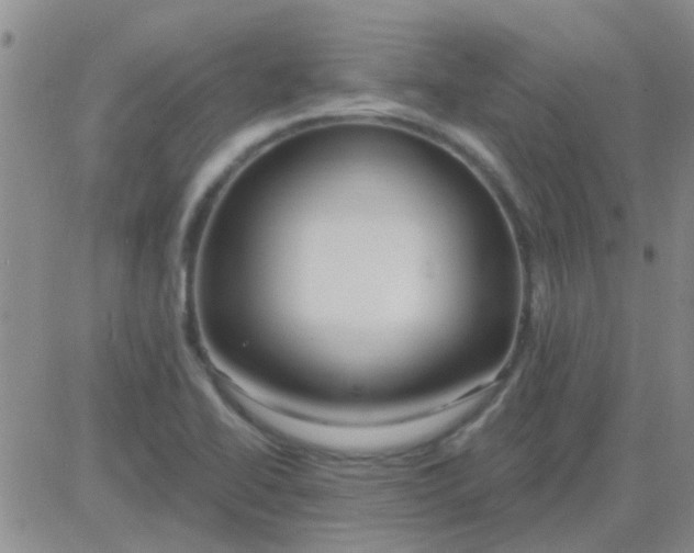 X0000083991414200703021927