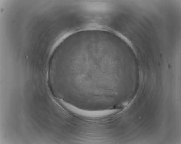 X0000083991415200703021927