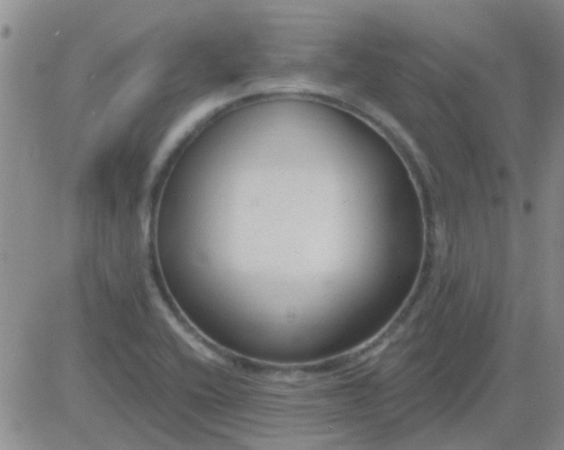 X0000083991416200703021927