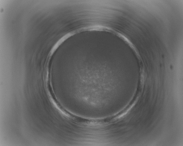 X0000083991418200703021927