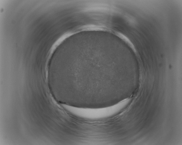 X0000083991419200703021927