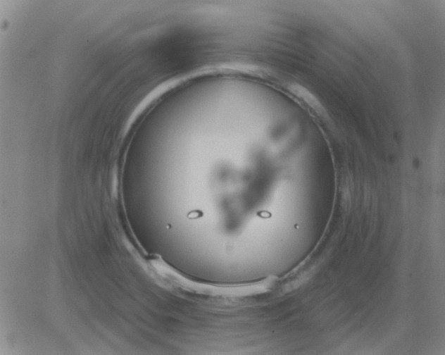 X0000083991420200703021927