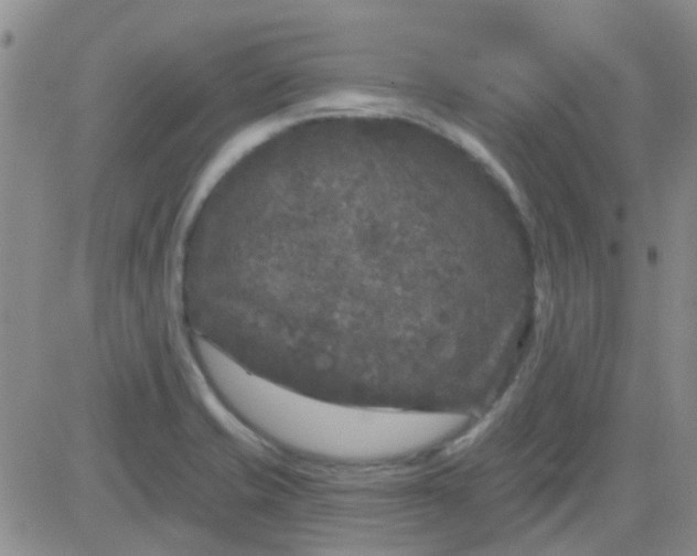 X0000083991421200703021927