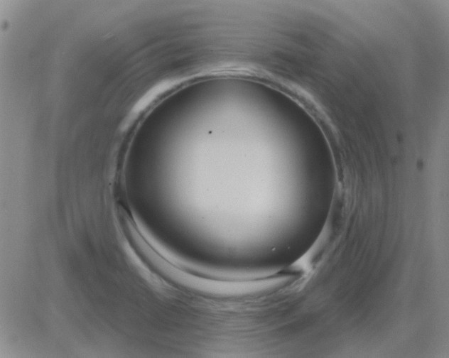 X0000083991422200703021927