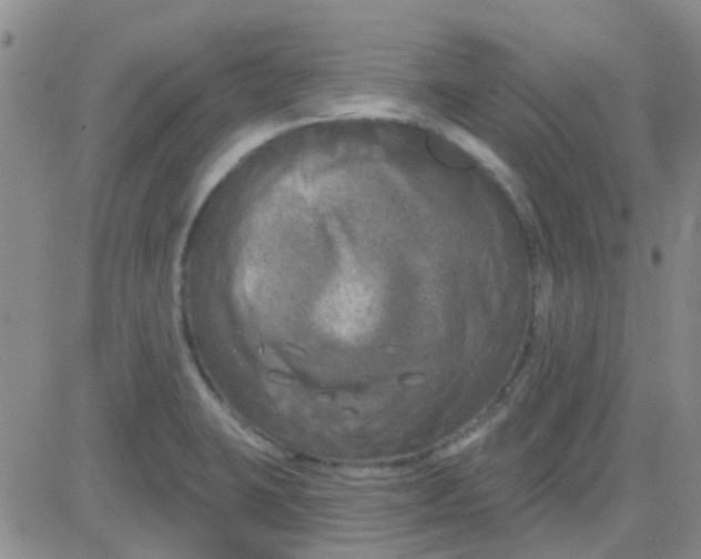 X0000083991423200703021927