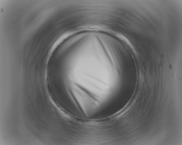 X0000083991424200703021927