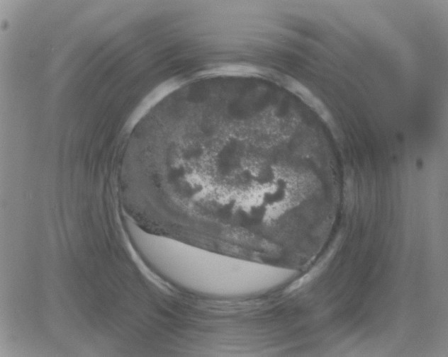 X0000083991425200703021927