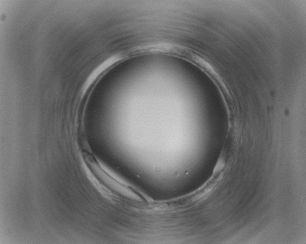 X0000083991426200703021927