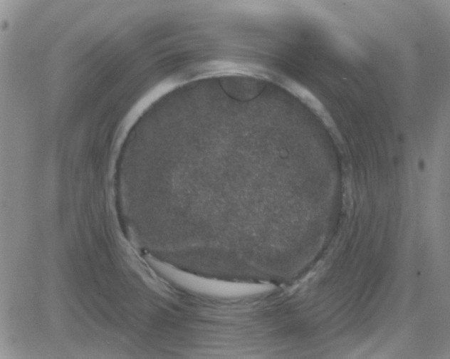 X0000083991427200703021927