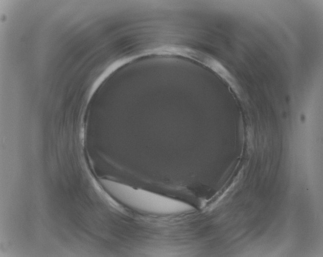 X0000083991428200703021927