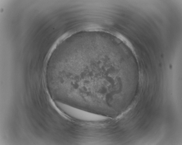 X0000083991429200703021927