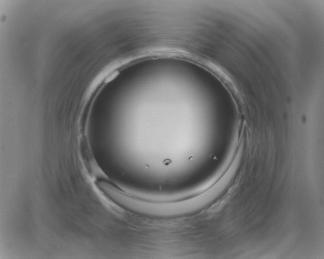 X0000083991430200703021927