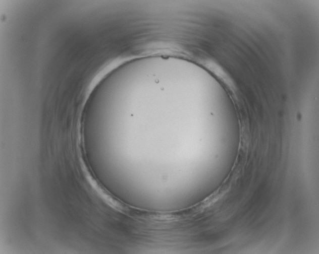 X0000083991431200703021927