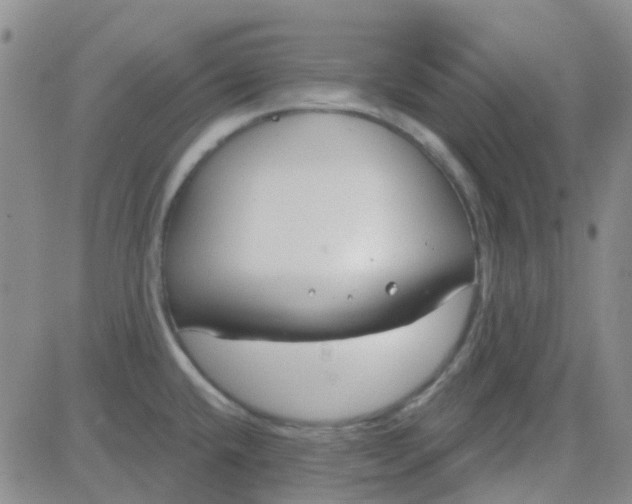 X0000083991432200703021927