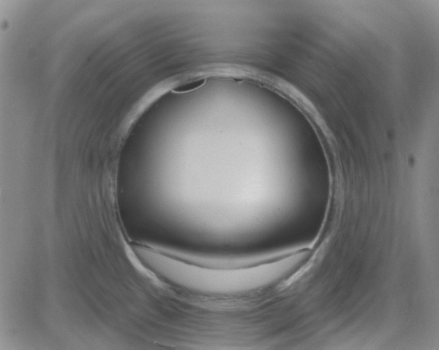 X0000083991433200703021927