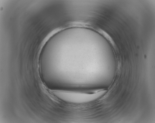 X0000083991435200703021927