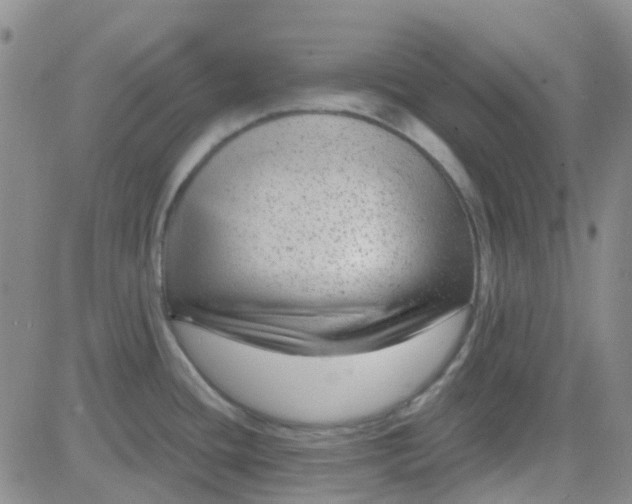 X0000083991436200703021927