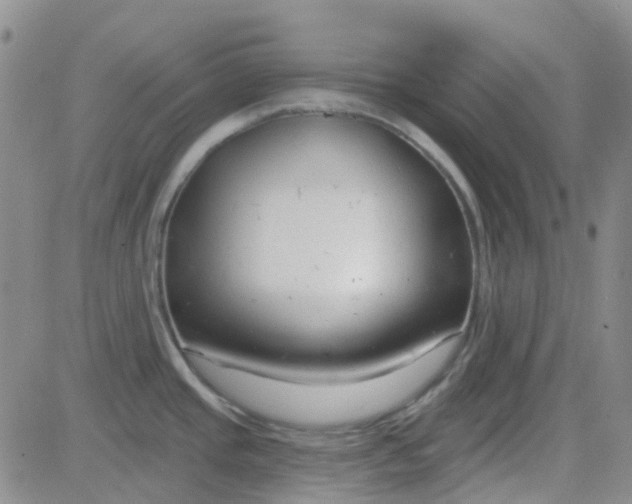 X0000083991437200703021927