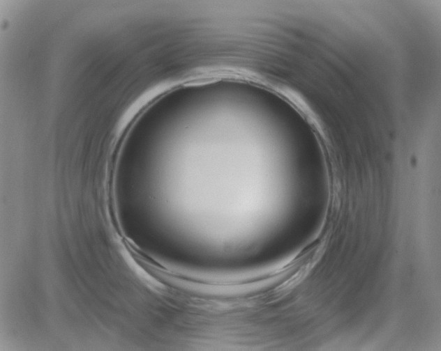 X0000083991438200703021927