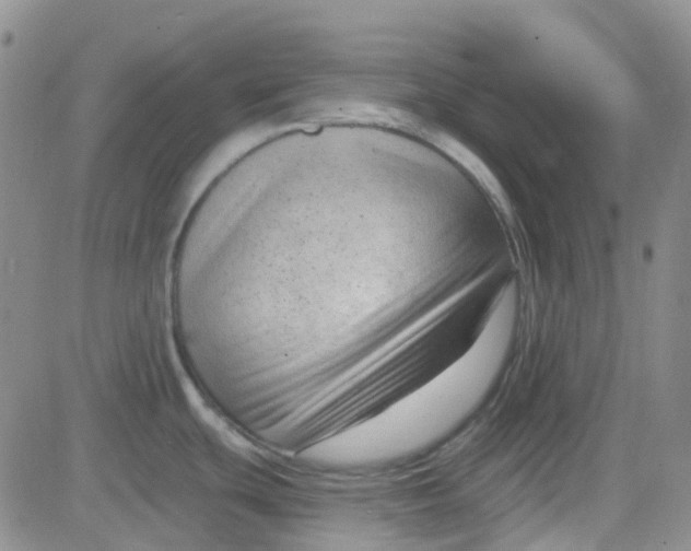 X0000083991439200703021927