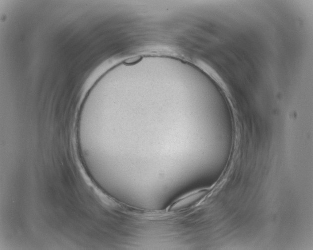 X0000083991440200703021927