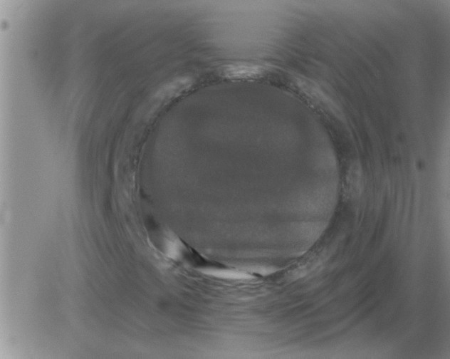 X0000083991441200703021927