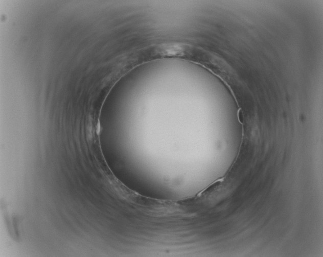 X0000083991442200703021927