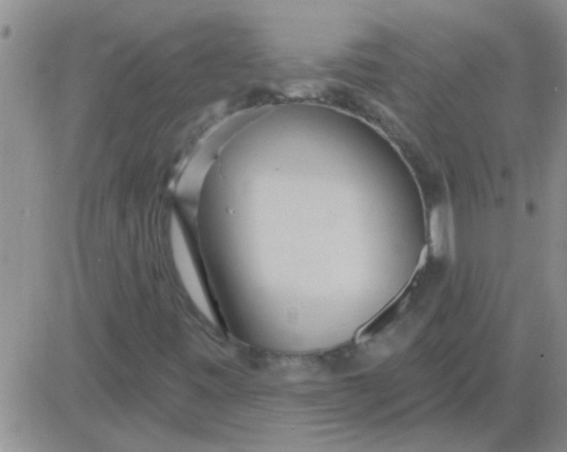 X0000083991443200703021927