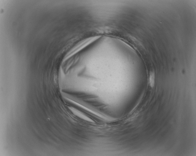 X0000083991444200703021927